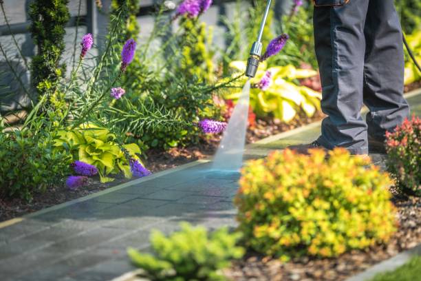 Best Pool Deck Cleaning  in Citrus City, TX