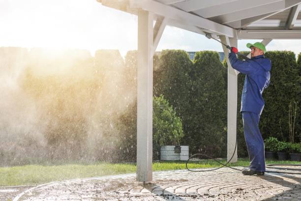 Best Solar Panel Cleaning  in Citrus City, TX